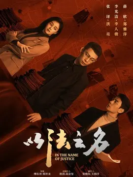 以法之名剧情介绍封面图