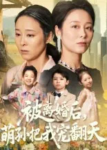 被离婚后，萌孙把我宠翻天封面图