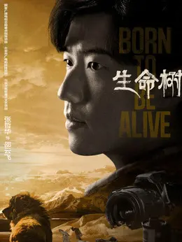 邵云飞剧照