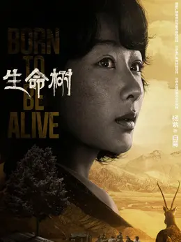 白菊剧照