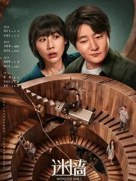 迷墙剧情介绍
